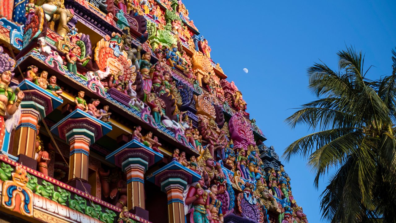 Nadi Jyotish Guru 1